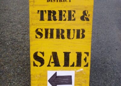 Adirondack Tree and Shrub Sale Hamilton County Soil and Water Conservation District 18