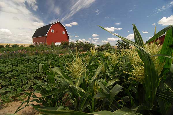 Agricultural Environmental Management Hamilton County