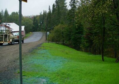 Hydroseeding - Grass stabilizes the road banks of Tamarack Road, Lake Pleasant after hydroseeding.JPG