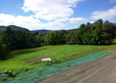 Hydroseed growing between a road and a field in Hamilton County, New York